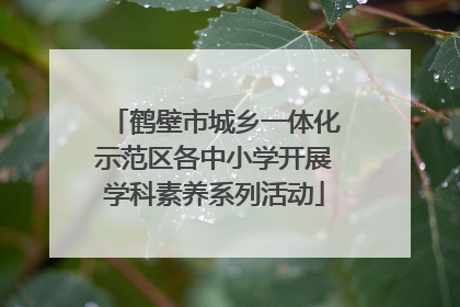 鹤壁市城乡一体化示范区各中小学开展学科素养系列活动