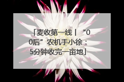 麦收第一线丨“00后”农机手小徐：5分钟收完一亩地