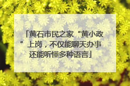 黄石市民之家“黄小政”上岗，不仅能聊天办事还能听懂多种语言