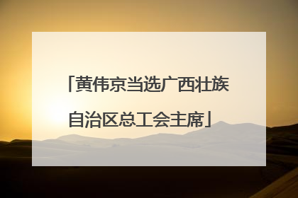 黄伟京当选广西壮族自治区总工会主席