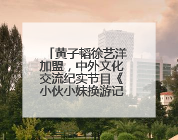 黄子韬徐艺洋加盟，中外文化交流纪实节目《小伙小妹换游记》六月上线