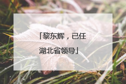 黎东辉，已任湖北省领导