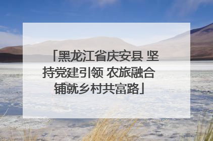 黑龙江省庆安县 坚持党建引领 农旅融合铺就乡村共富路