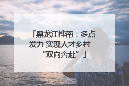 黑龙江桦南：多点发力 实现人才乡村“双向奔赴”