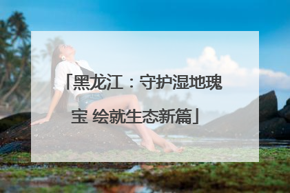 黑龙江：守护湿地瑰宝 绘就生态新篇