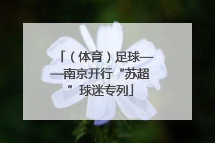 （体育）足球——南京开行“苏超”球迷专列