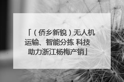 （侨乡新貌）无人机运输、智能分拣 科技助力浙江杨梅产销