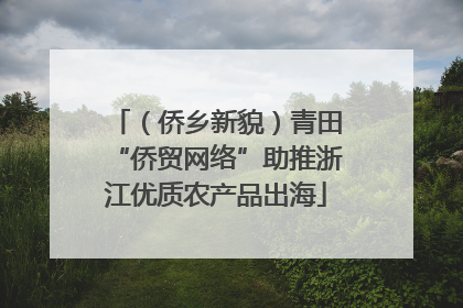 （侨乡新貌）青田“侨贸网络”助推浙江优质农产品出海