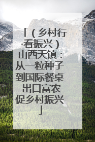 （乡村行·看振兴）山西天镇：从一粒种子到国际餐桌 出口富农促乡村振兴