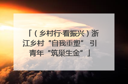 （乡村行·看振兴）浙江乡村“自我重塑” 引青年“筑巢生金”