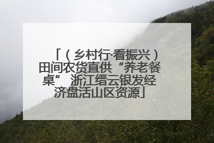 （乡村行·看振兴）田间农货直供“养老餐桌” 浙江缙云银发经济盘活山区资源