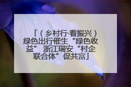 （乡村行·看振兴）绿色出行催生“绿色收益” 浙江瑞安“村企联合体”促共富