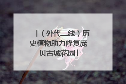 （外代二线）历史植物助力修复庞贝古城花园