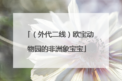 （外代二线）欧宝动物园的非洲象宝宝