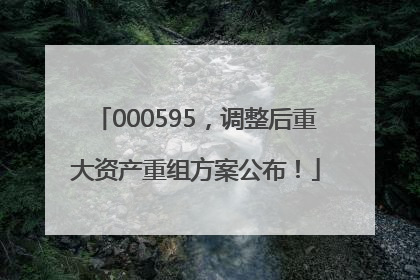 000595，调整后重大资产重组方案公布！