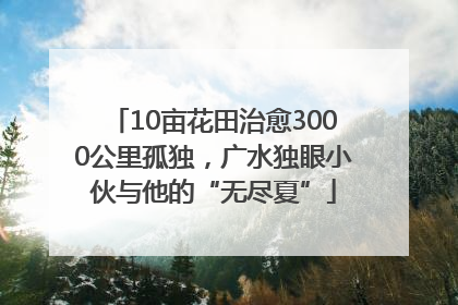 10亩花田治愈3000公里孤独，广水独眼小伙与他的“无尽夏”