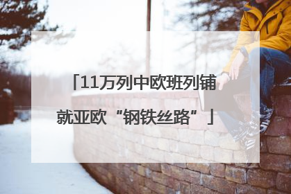 11万列中欧班列铺就亚欧“钢铁丝路”