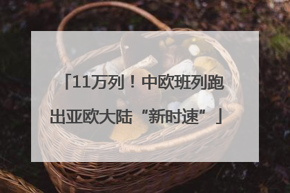 11万列！中欧班列跑出亚欧大陆“新时速”