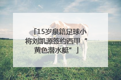 15岁泉籍足球小将刘凯源签约西甲“黄色潜水艇”