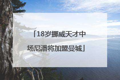 18岁挪威天才中场尼潘将加盟曼城