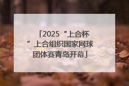2025“上合杯”上合组织国家网球团体赛青岛开幕