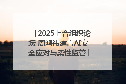 2025上合组织论坛 周鸿祎建言AI安全应对与柔性监管