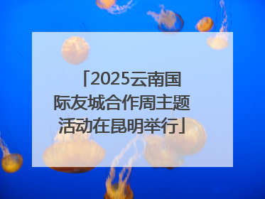 2025云南国际友城合作周主题活动在昆明举行