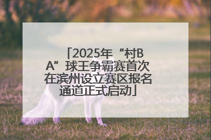 2025年“村BA”球王争霸赛首次在滨州设立赛区报名通道正式启动