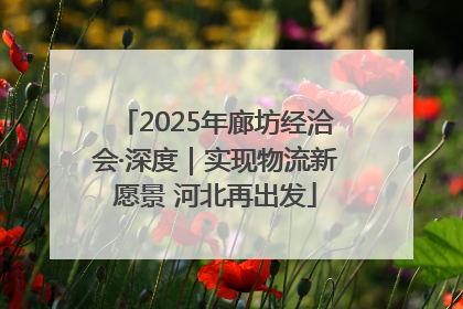 2025年廊坊经洽会·深度｜实现物流新愿景 河北再出发