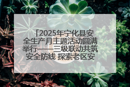2025年宁化县安全生产月主题活动圆满举行——三级联动共筑安全防线 探索老区安全发展新路径