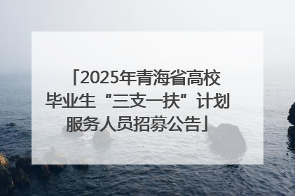 2025年青海省高校毕业生“三支一扶”计划服务人员招募公告