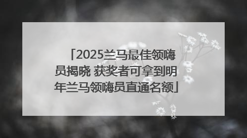 2025兰马最佳领嗨员揭晓 获奖者可拿到明年兰马领嗨员直通名额