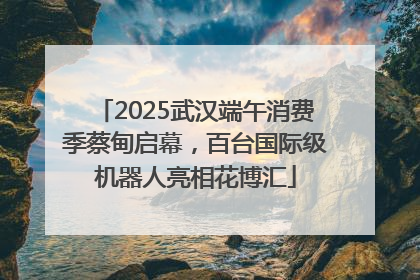 2025武汉端午消费季蔡甸启幕，百台国际级机器人亮相花博汇