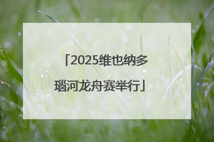 2025维也纳多瑙河龙舟赛举行