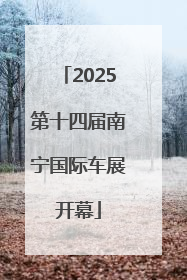 2025第十四届南宁国际车展开幕