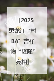 2025黑龙江“村BA”吉祥物“隆隆”亮相