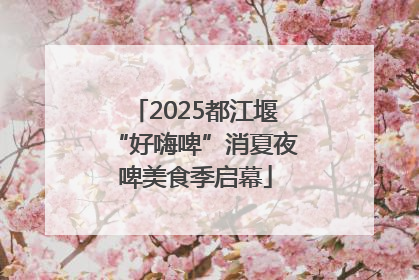 2025都江堰“好嗨啤”消夏夜啤美食季启幕
