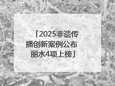 2025非遗传播创新案例公布 丽水4项上榜