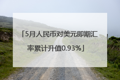 5月人民币对美元即期汇率累计升值0.93%