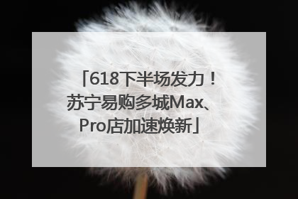 618下半场发力！苏宁易购多城Max、Pro店加速焕新