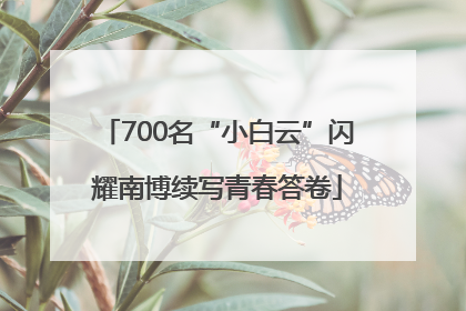 700名“小白云”闪耀南博续写青春答卷
