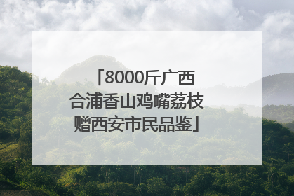 8000斤广西合浦香山鸡嘴荔枝赠西安市民品鉴