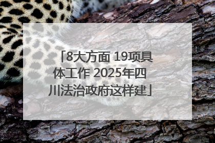 8大方面 19项具体工作 2025年四川法治政府这样建