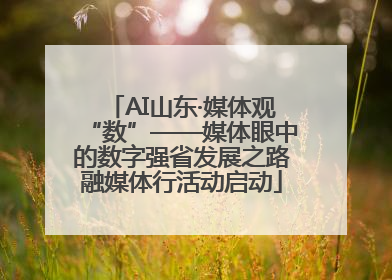 AI山东·媒体观“数”——媒体眼中的数字强省发展之路融媒体行活动启动