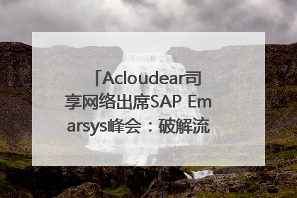 Acloudear司享网络出席SAP Emarsys峰会：破解流量困局，驱动精准增长