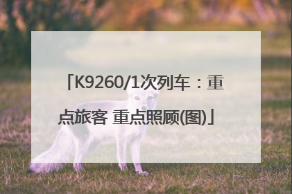 K9260/1次列车：重点旅客 重点照顾(图)